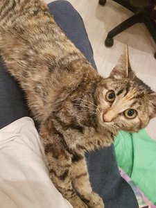 20170905_221852.jpg