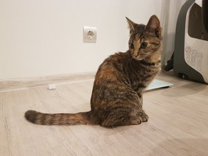 20170905_222535.jpg
