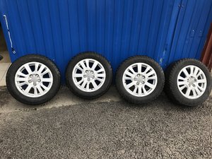 IMG_3795.JPG