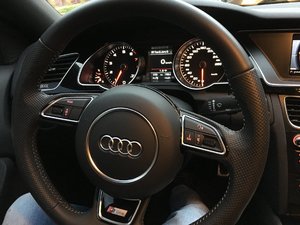 IMG_9990.JPG