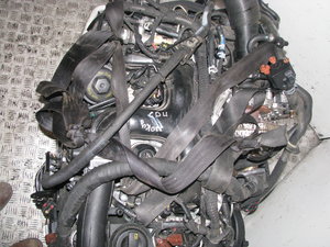 IMG_2786.JPG