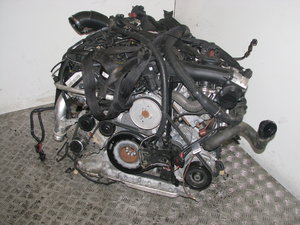 IMG_2788.JPG
