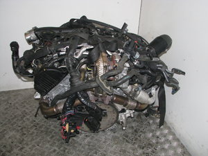 IMG_2789.JPG