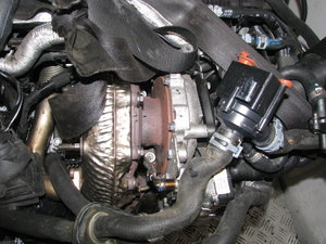 IMG_2790.JPG