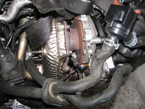 IMG_2791.JPG