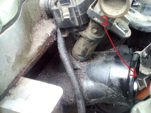 IMG_20171015_112534.jpg