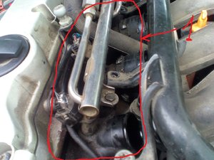 IMG_20171015_112552.jpg