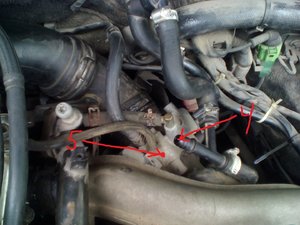 IMG_20171015_120901.jpg