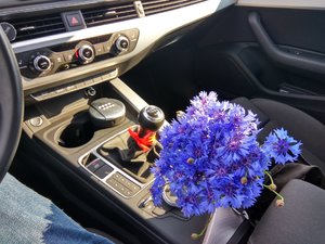 IMG_20170629_180315_HDR.jpg