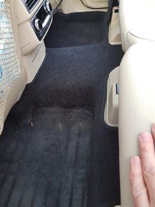 20171019_143204.jpg