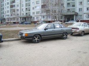 SL273683.JPG