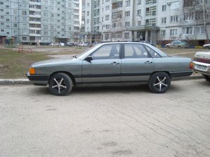 SL273684.JPG