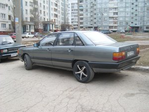 SL273685.JPG