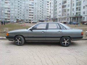 SL273686.JPG