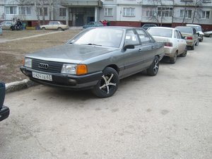 SL273687.JPG