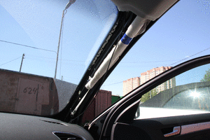 IMG_8155.gif