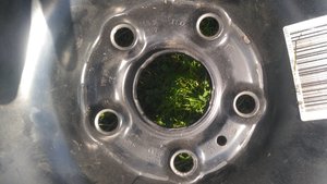 IMG_20170813_130310.jpg