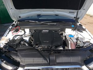 1d6fc42s-960.jpg
