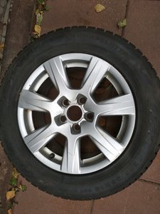 IMG_20171026_125738.jpg