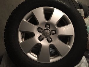IMG_7305.JPG