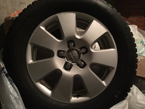 IMG_7306.JPG