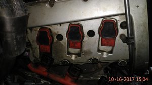 IMG_20171016_150431.jpg