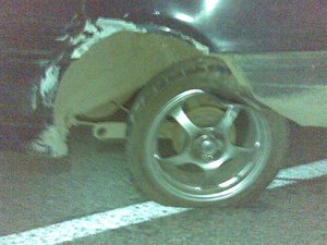 31052009(025).jpg