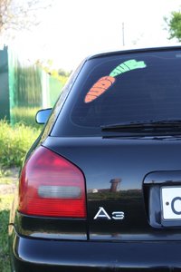 IMG_16831.jpg