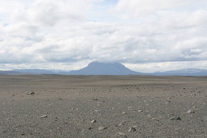 IMG_2233.jpg