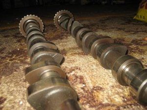 IMG_3980.JPG
