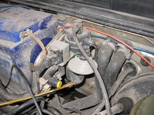 IMG_3239.jpg