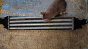 IMG_20171209_152625.jpg