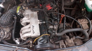 IMG_20171212_114332[1].jpg