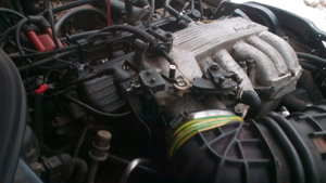 IMG_20171212_114633[1].jpg