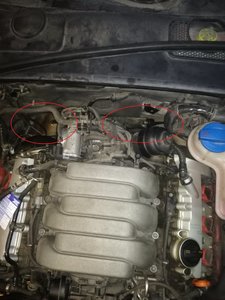 IMG_20171213_093933.jpg