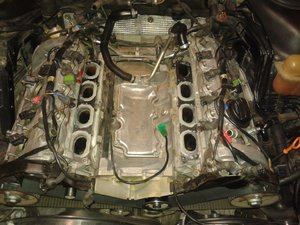 20170904_170216.jpg