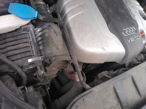 WP_001197.jpg