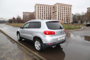 IMG_0355-.jpg