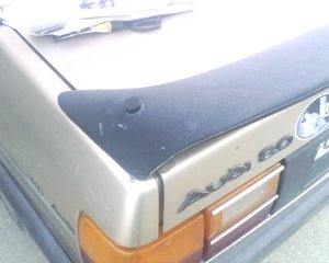 img110.jpg