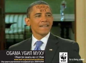 obama1.jpg
