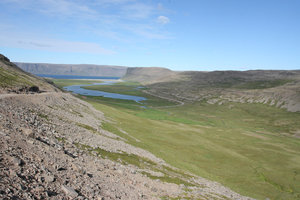 IMG_2455.jpg