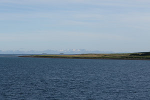 IMG_2463.jpg