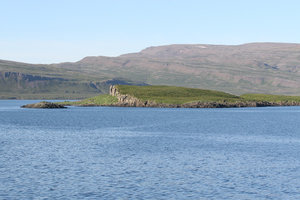 IMG_2467.jpg