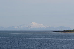 IMG_2464.jpg