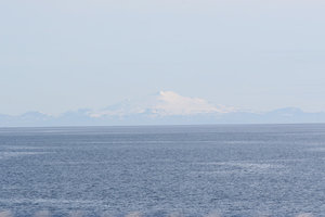 IMG_2470.jpg