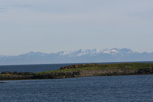 IMG_2476.jpg