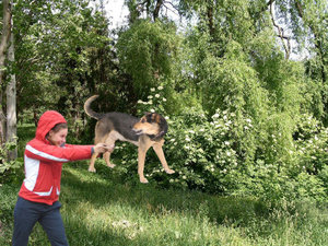 1 копия.jpg