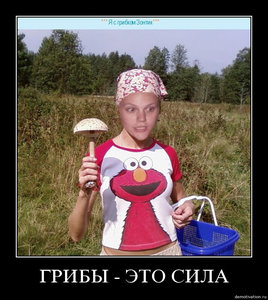 49a.jpg