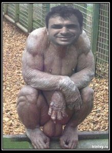 54.jpg