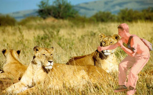 lions.jpg